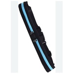 Anione Cintura di Sicurezza